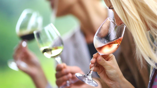 wine testing, experiența culturala gastro